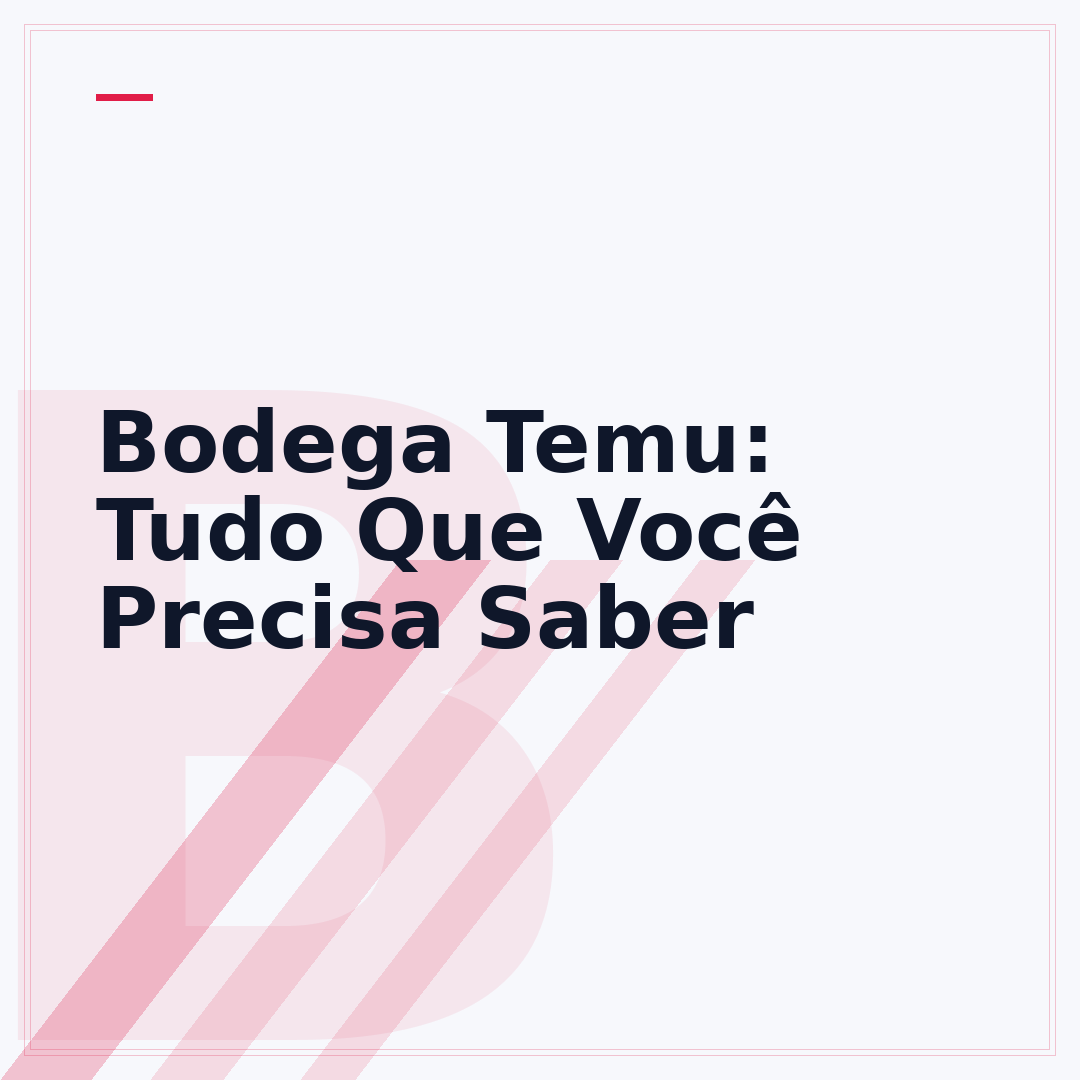 Bodega Temu: Tudo Que Você Precisa Saber