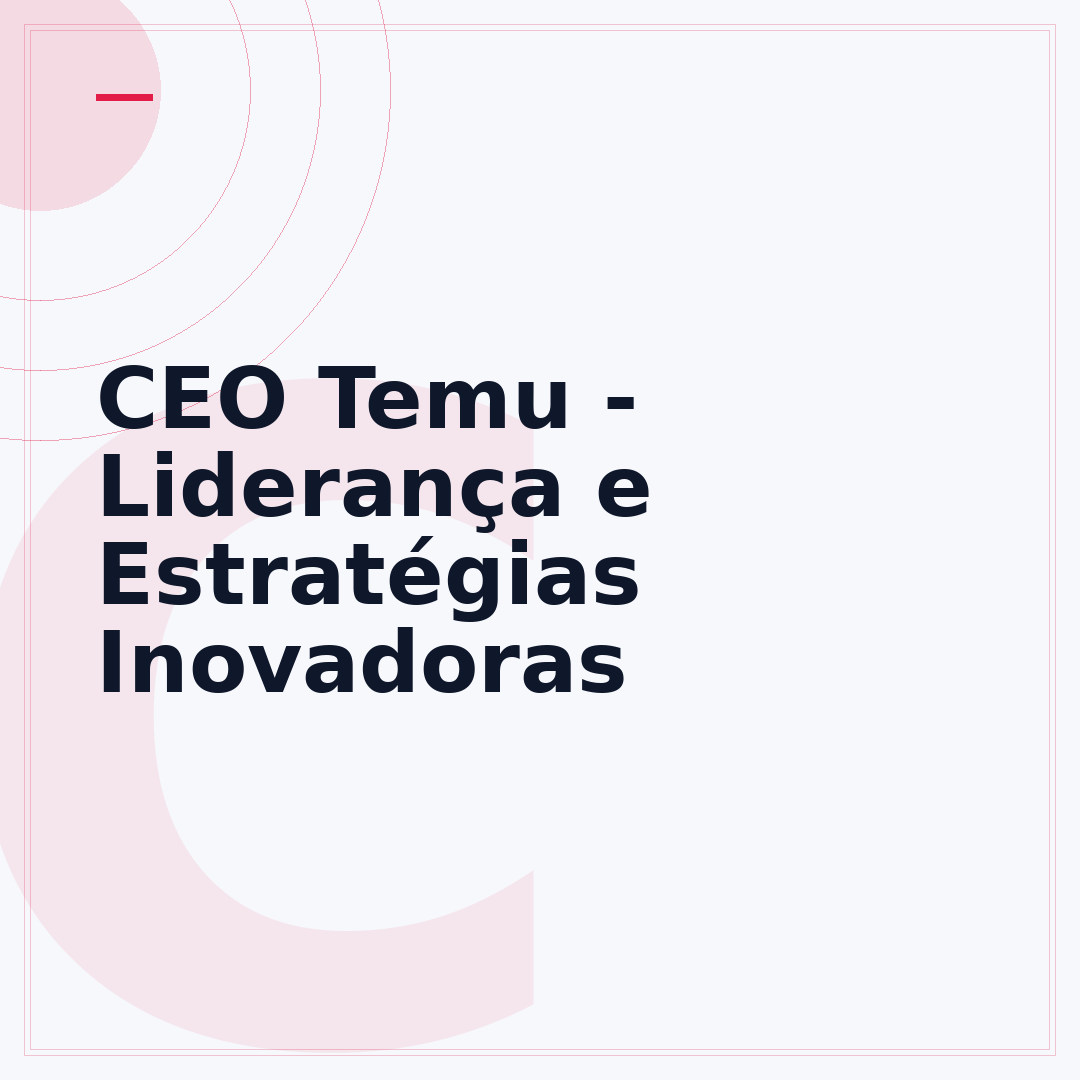 CEO Temu - Liderança e Estratégias Inovadoras