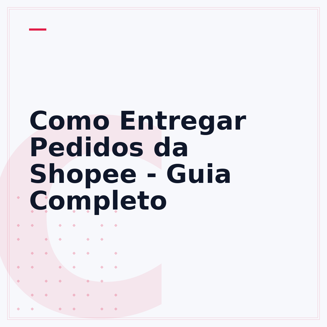 Como Entregar Pedidos da Shopee - Guia Completo