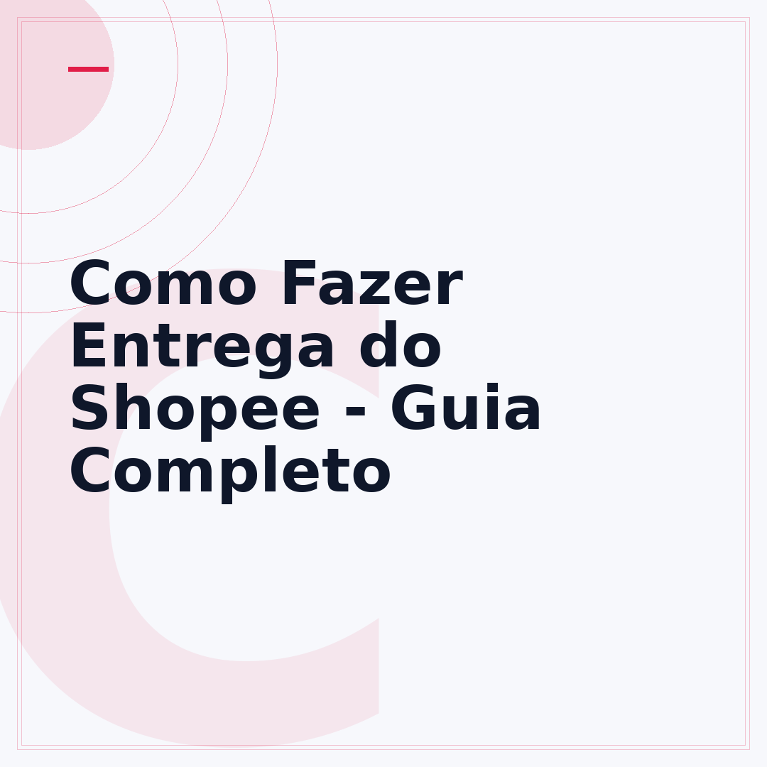 Como Fazer Entrega do Shopee - Guia Completo