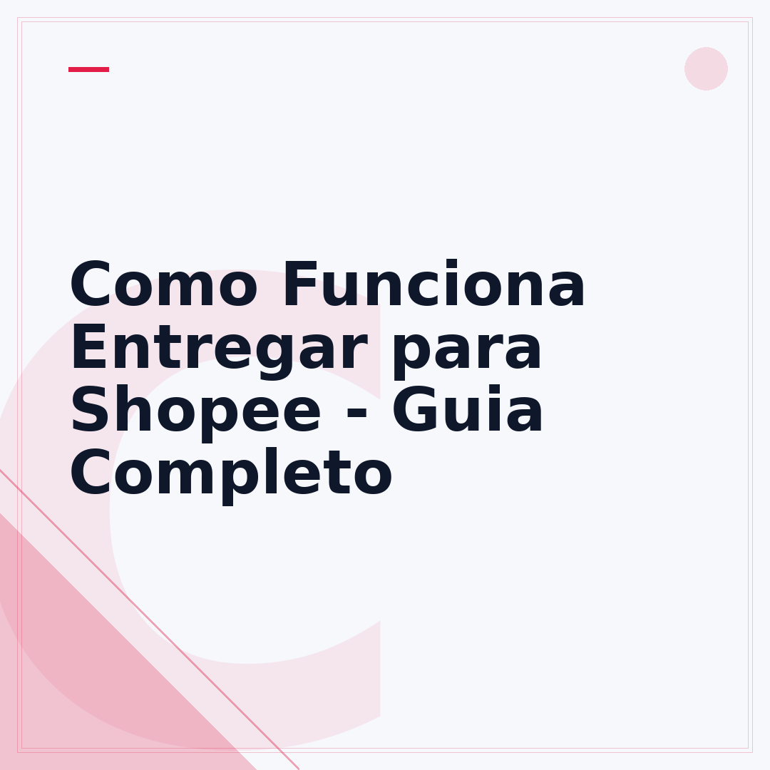 Como Funciona Entregar para Shopee - Guia Completo
