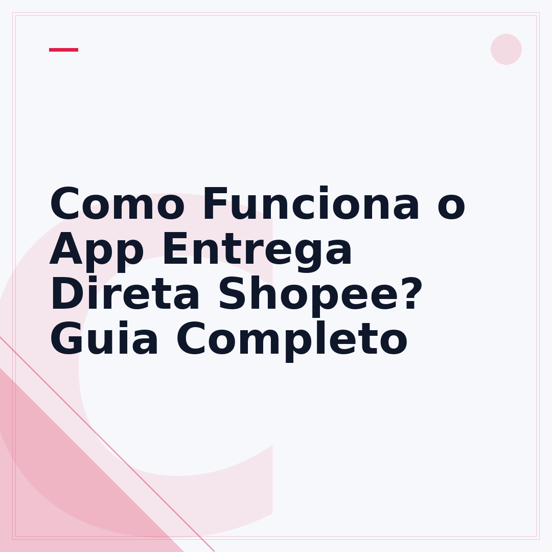Como Funciona o App Entrega Direta Shopee? Guia Completo