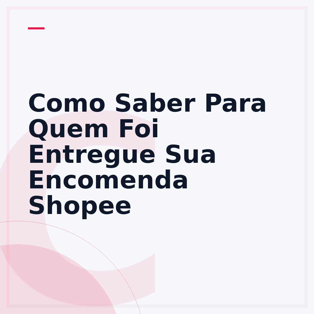 Como Saber Para Quem Foi Entregue Sua Encomenda Shopee