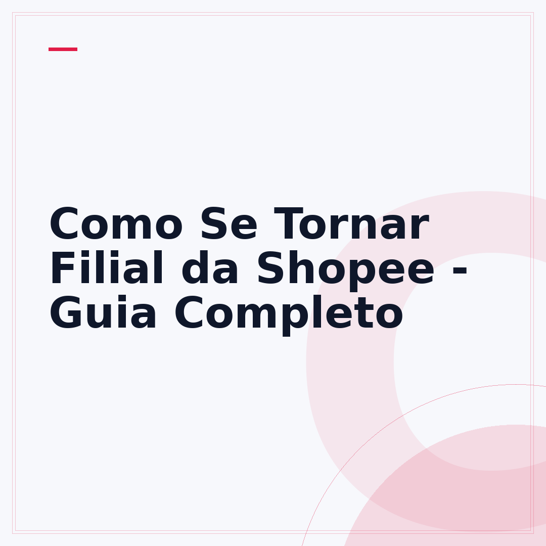Como Se Tornar Filial da Shopee - Guia Completo