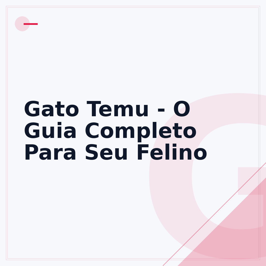 Gato Temu - O Guia Completo Para Seu Felino