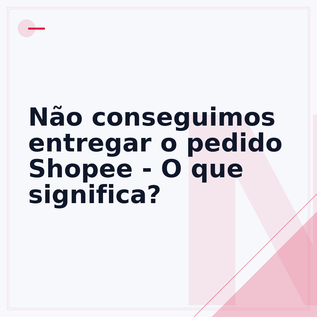 Não conseguimos entregar o pedido Shopee - O que significa?