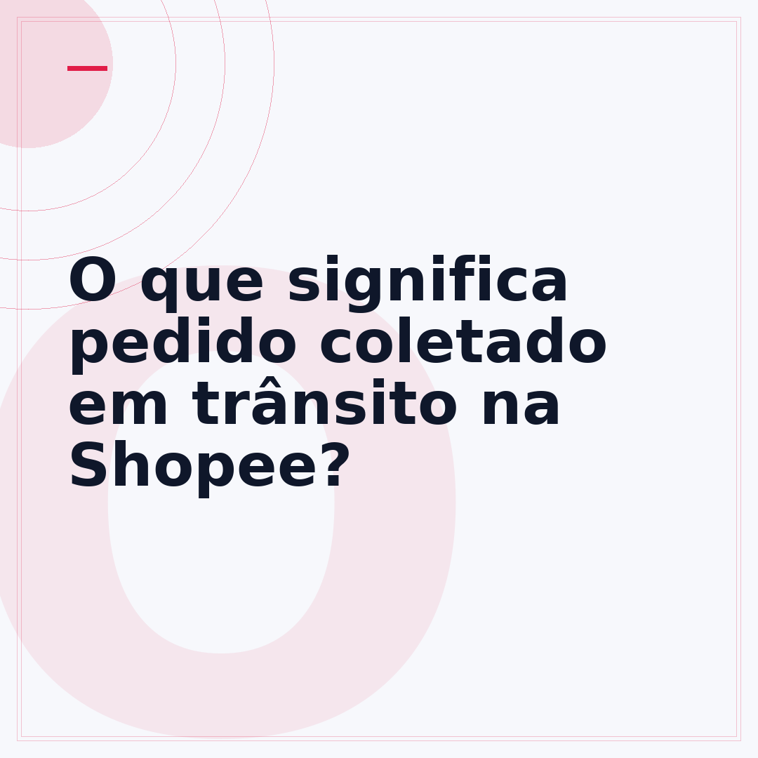 O que significa pedido coletado em trânsito na Shopee?