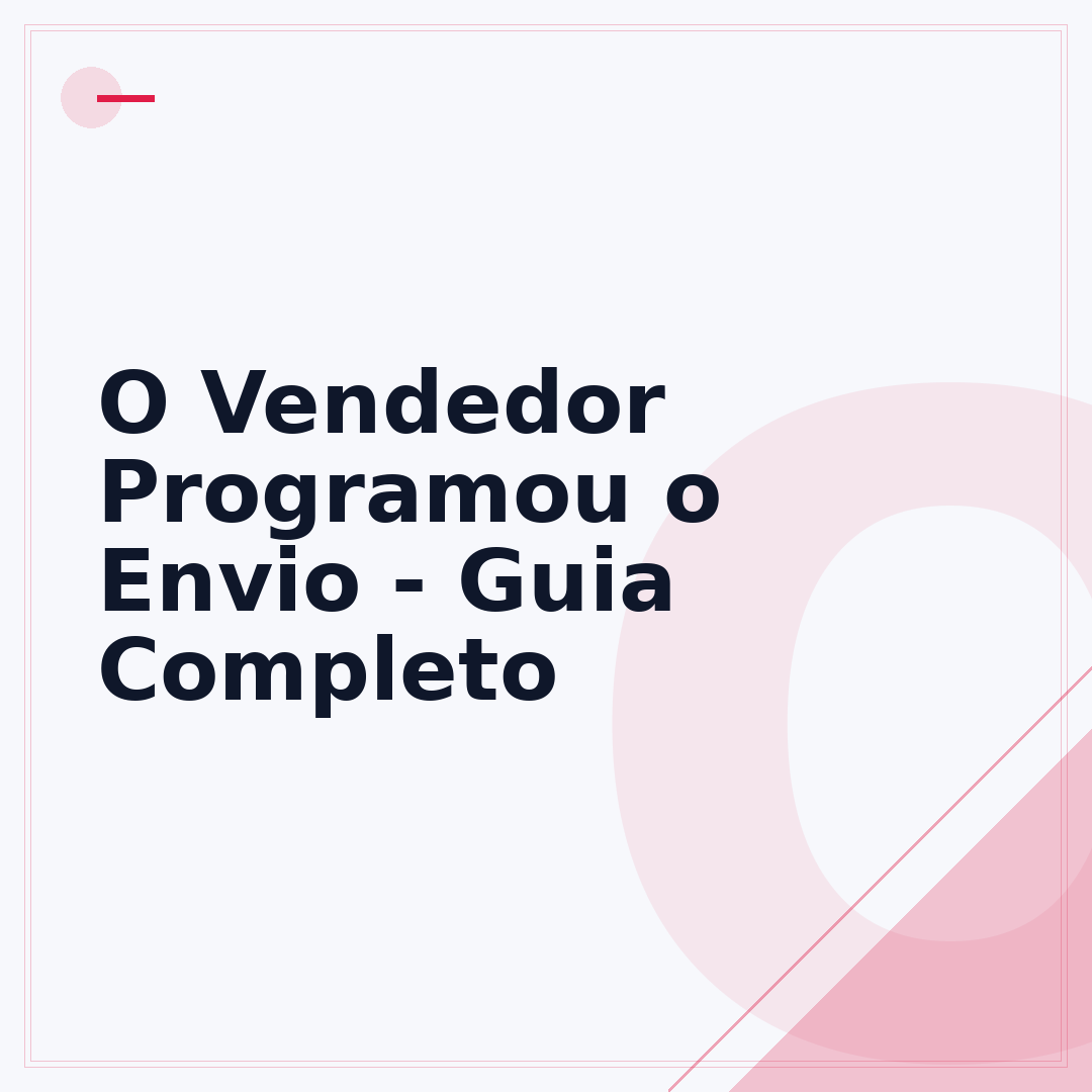 O Vendedor Programou o Envio - Guia Completo