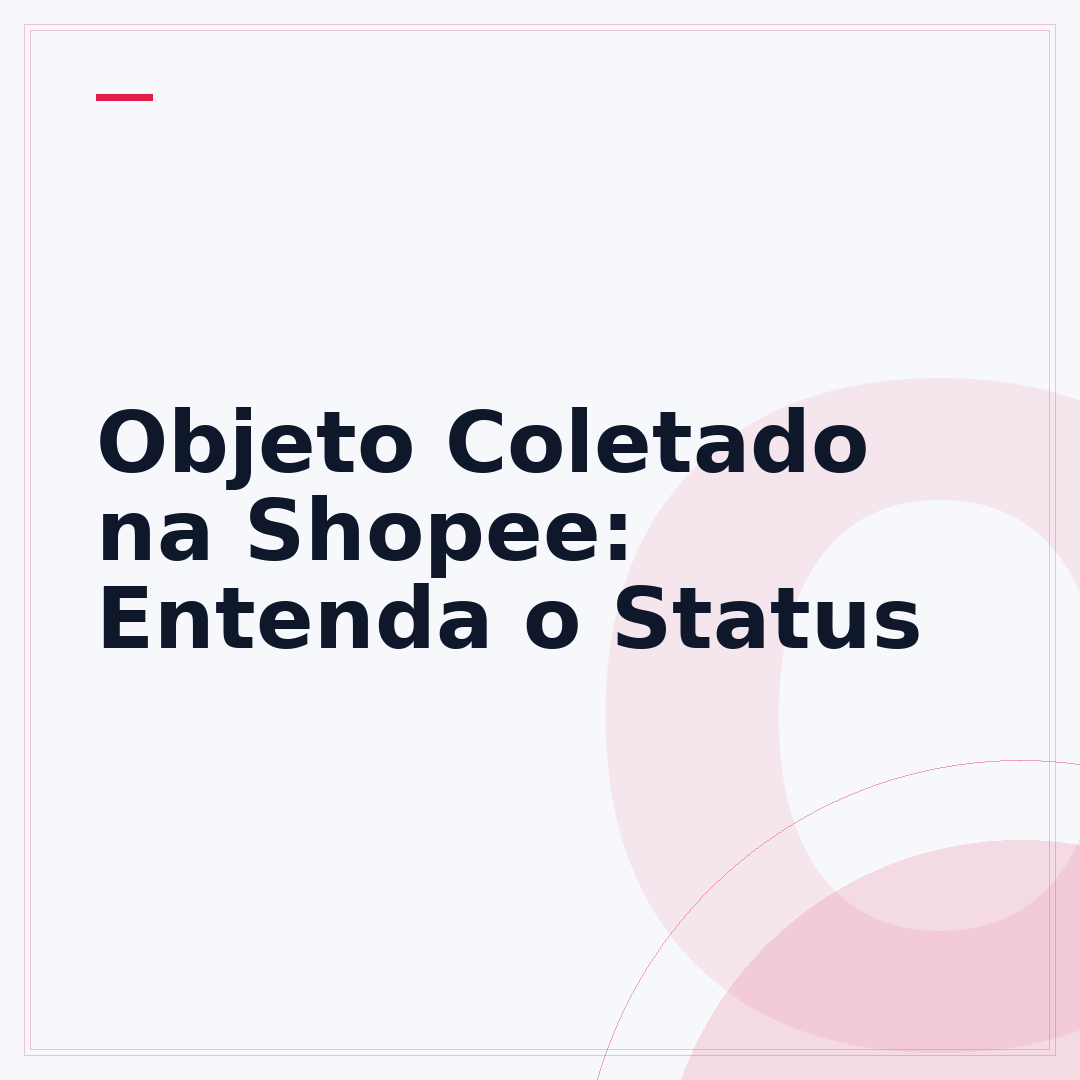 Objeto Coletado na Shopee: Entenda o Status