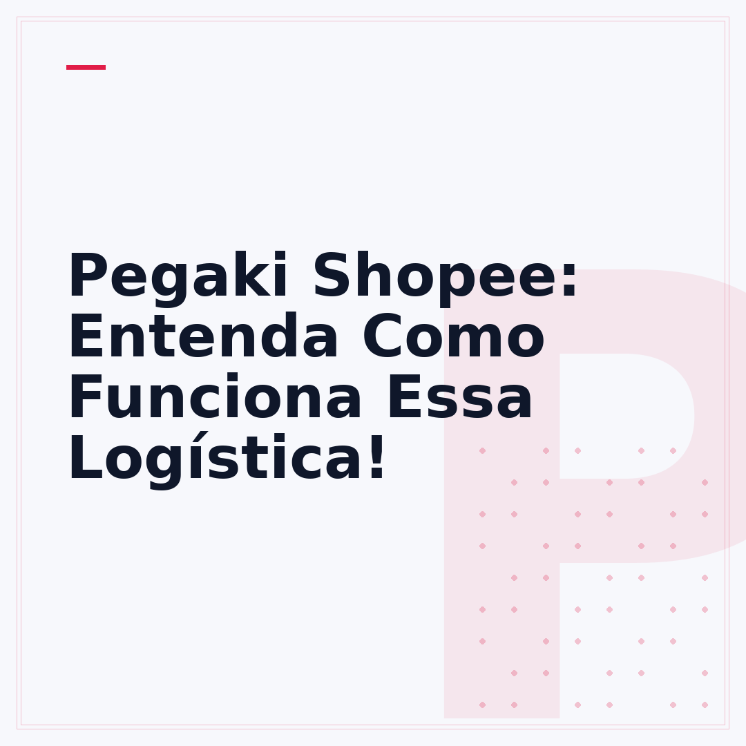Pegaki Shopee: Entenda Como Funciona Essa Logística!