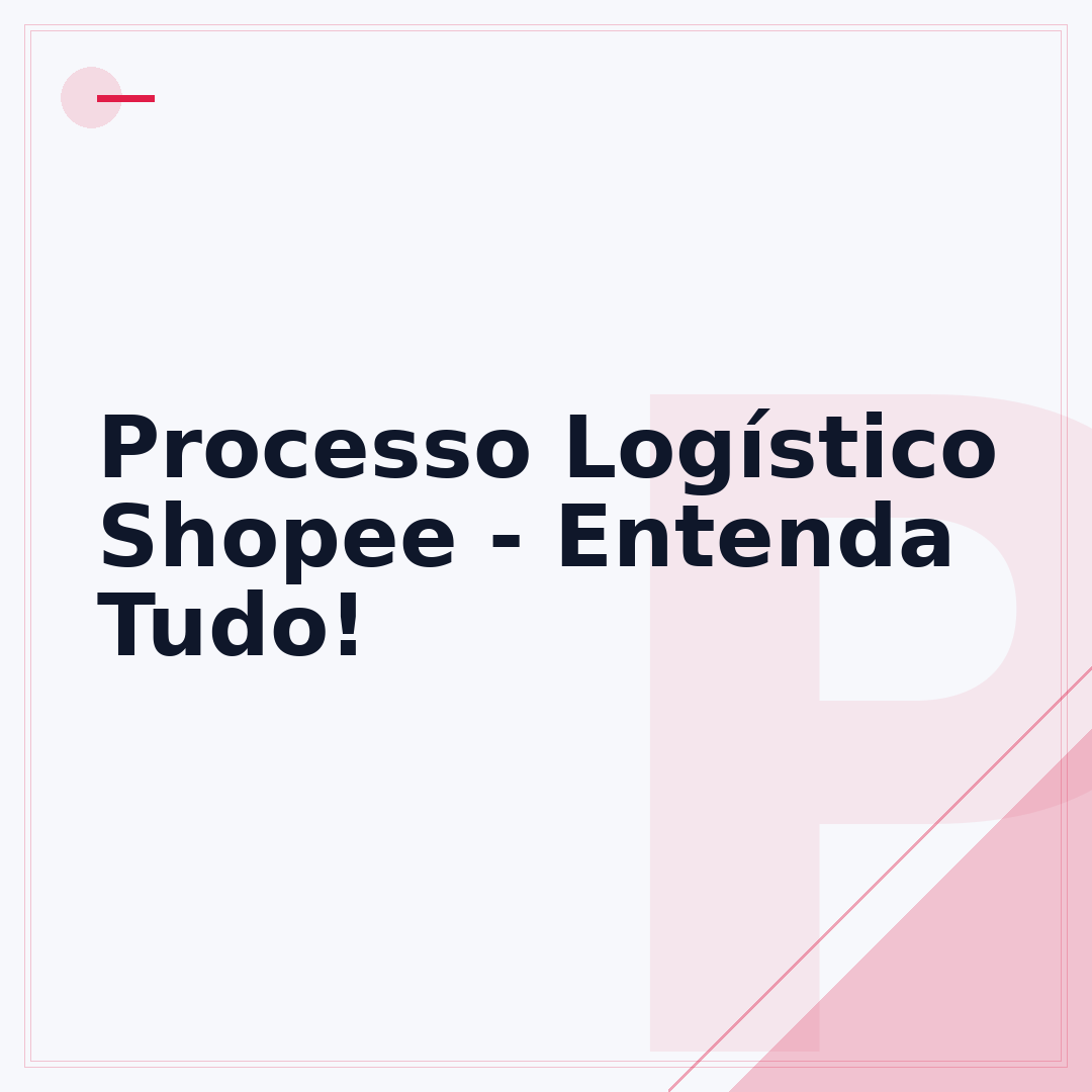 Processo Logístico Shopee - Entenda Tudo!