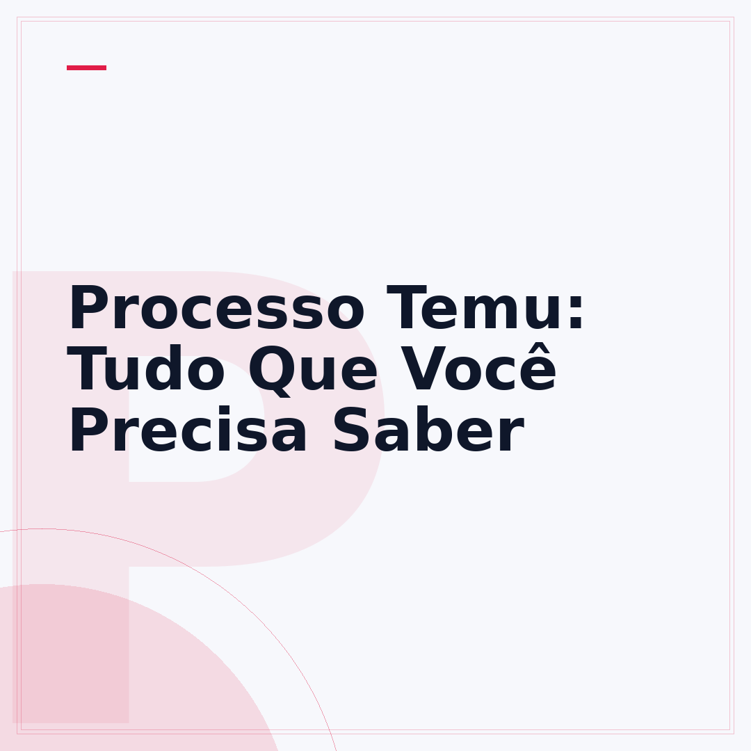 Processo Temu: Tudo Que Você Precisa Saber