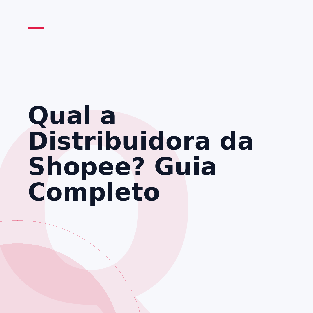 Qual a Distribuidora da Shopee? Guia Completo