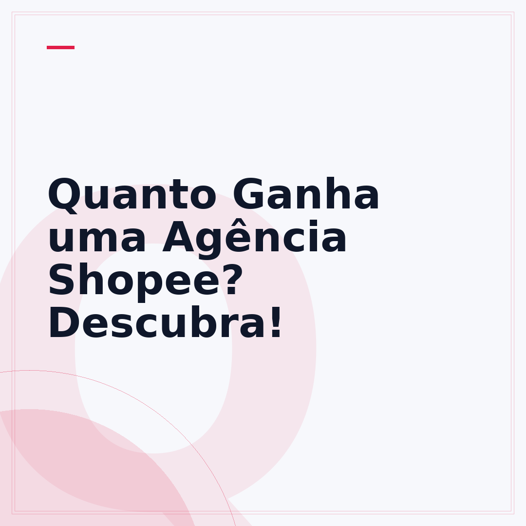 Quanto Ganha uma Agência Shopee? Descubra!