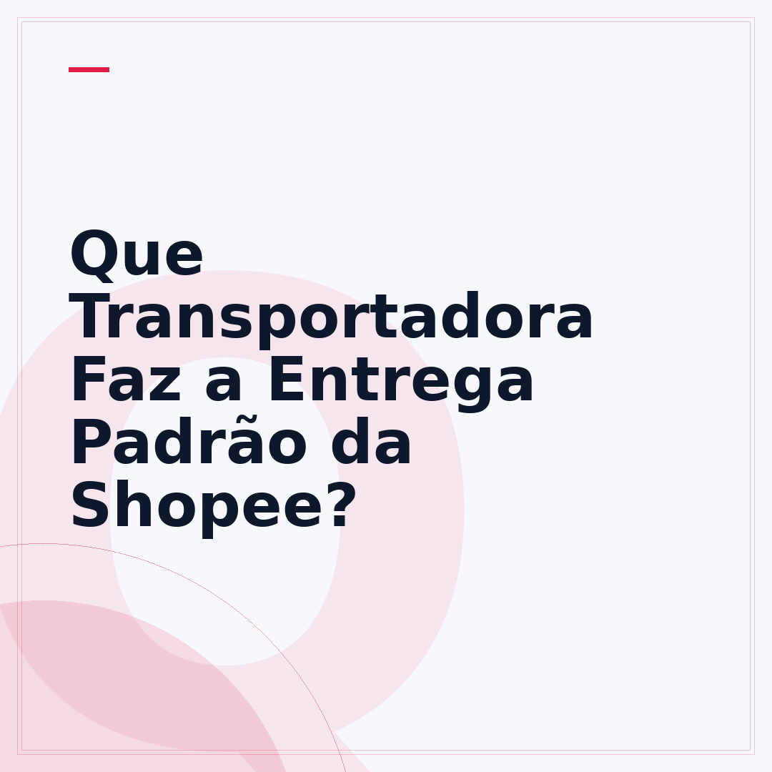 Que Transportadora Faz a Entrega Padrão da Shopee?