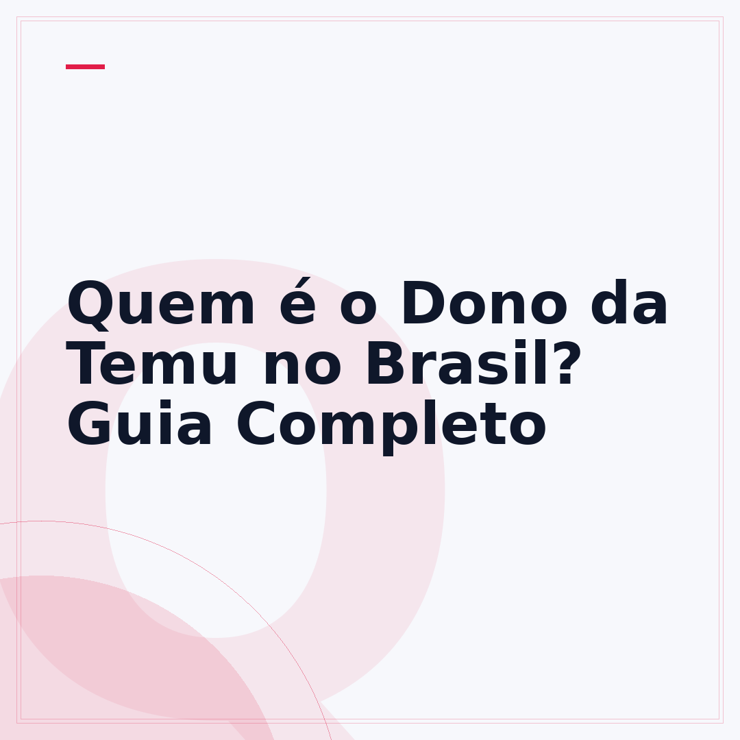 Quem é o Dono da Temu no Brasil? Guia Completo