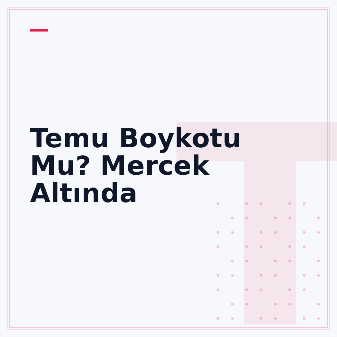 Temu Boykotu Mu? Mercek Altında