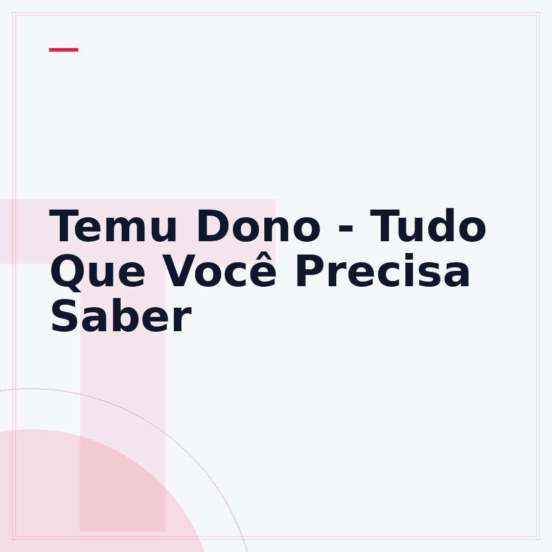 Temu Dono - Tudo Que Você Precisa Saber