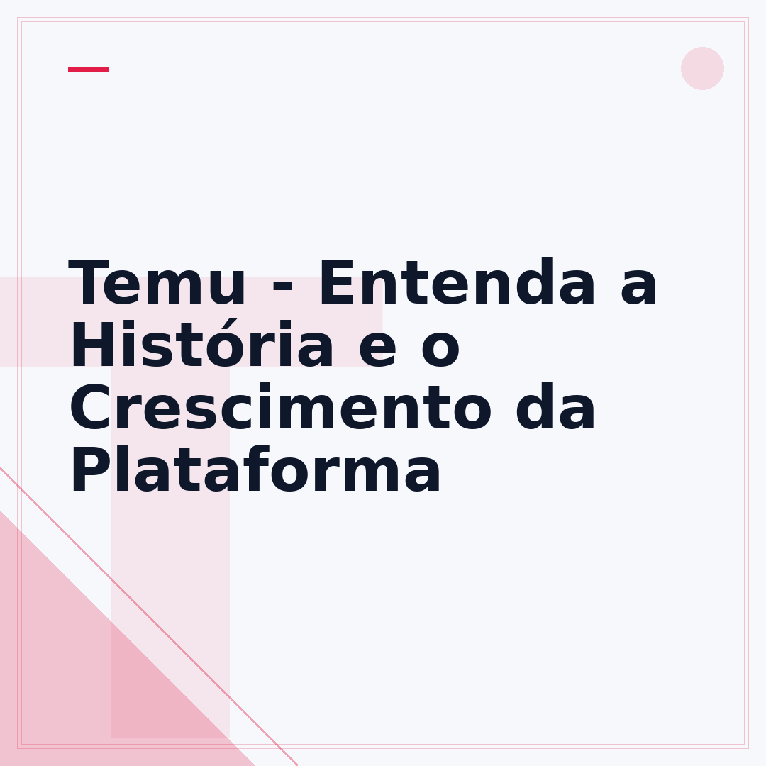 Temu - Entenda a História e o Crescimento da Plataforma