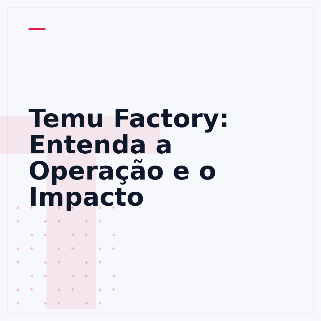 Temu Factory: Entenda a Operação e o Impacto
