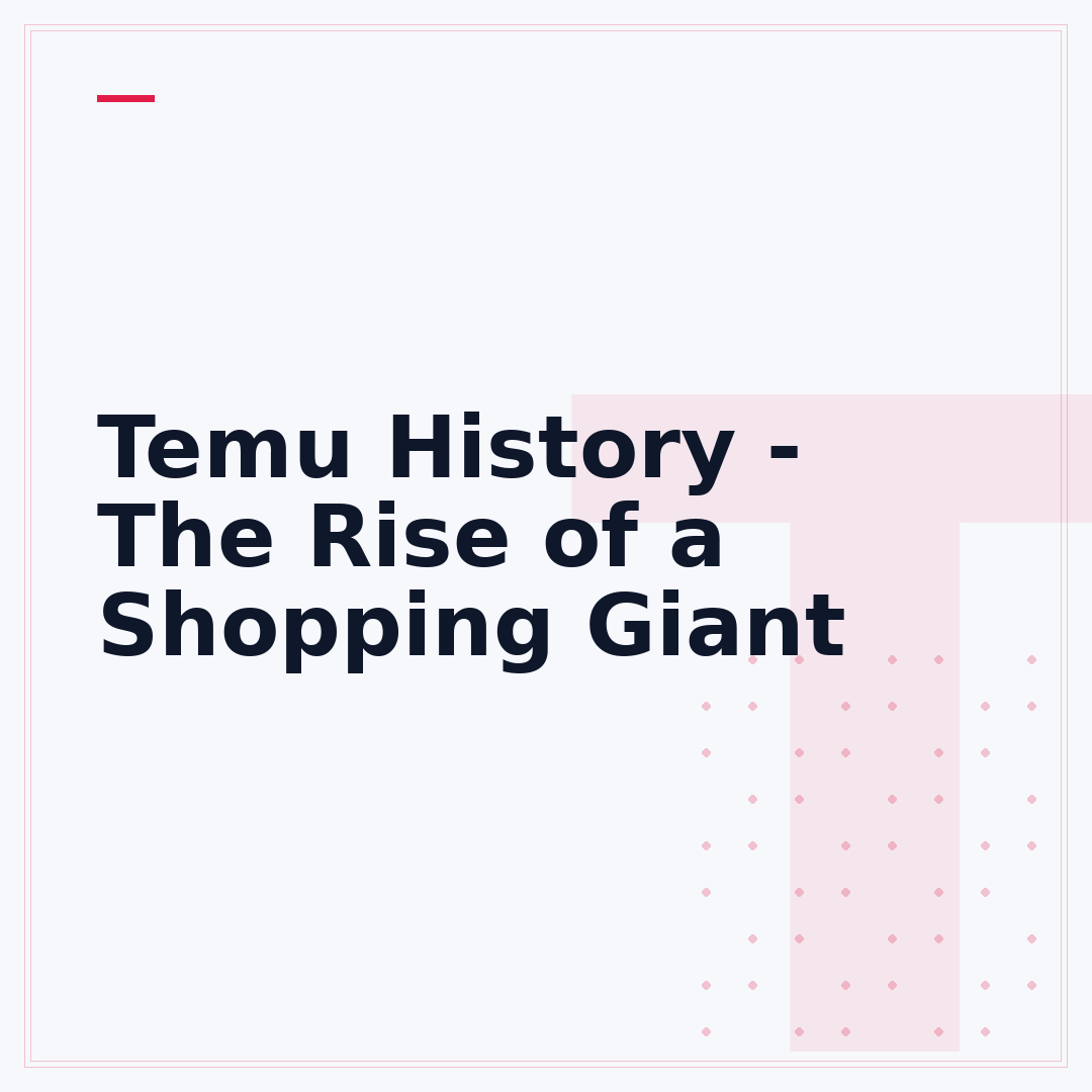 Temu History - The Rise of a Shopping Giant