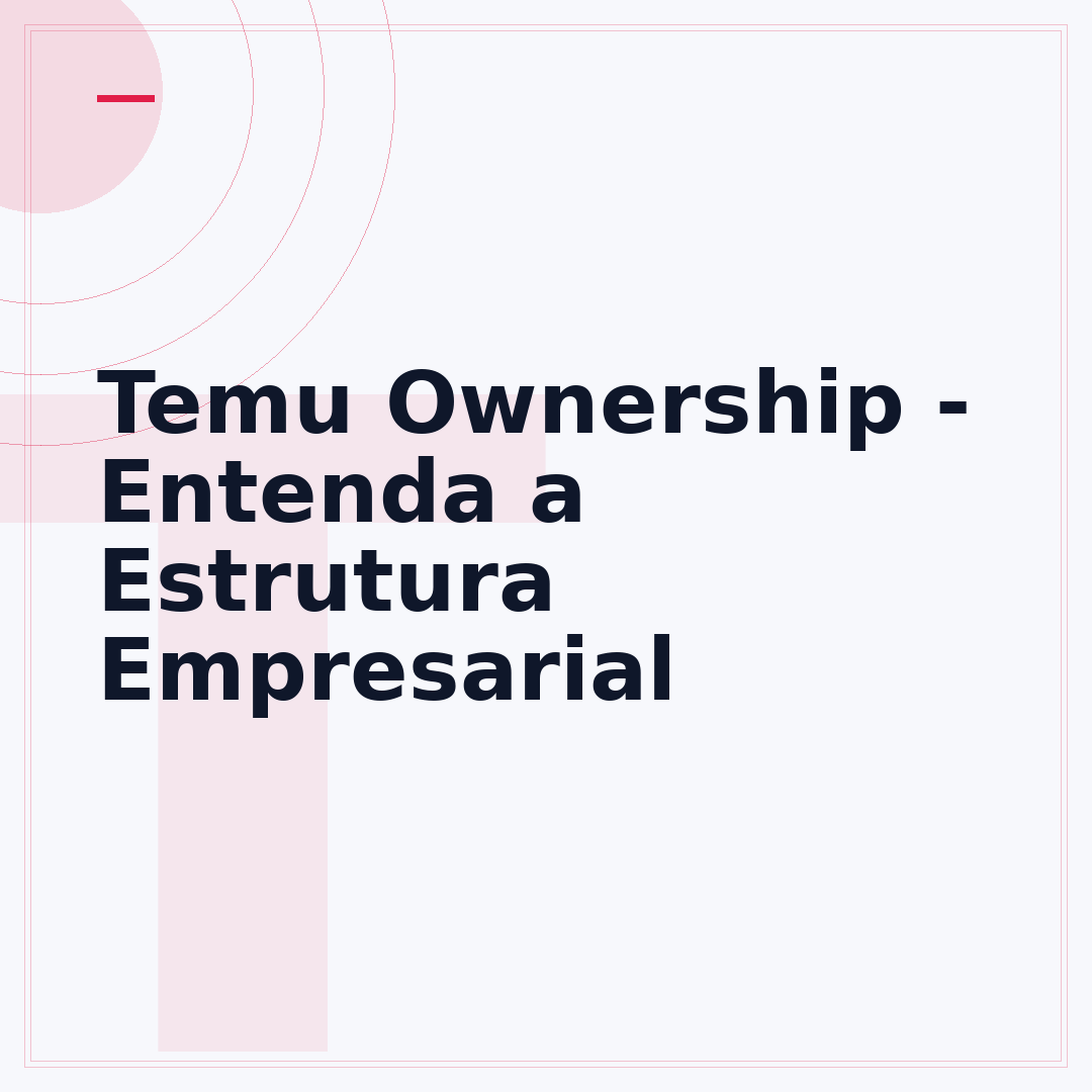 Temu Ownership - Entenda a Estrutura Empresarial