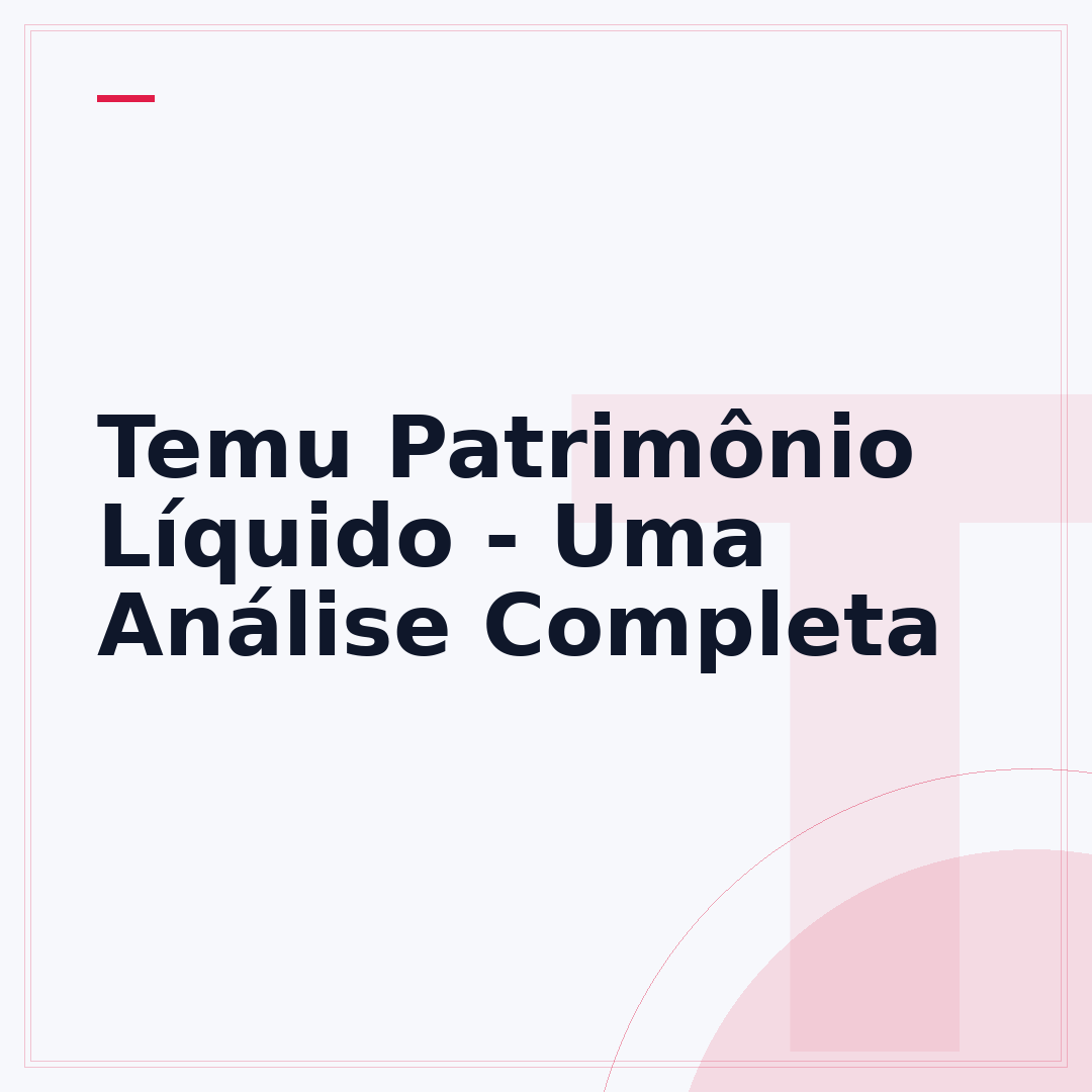 Temu Patrimônio Líquido - Uma Análise Completa