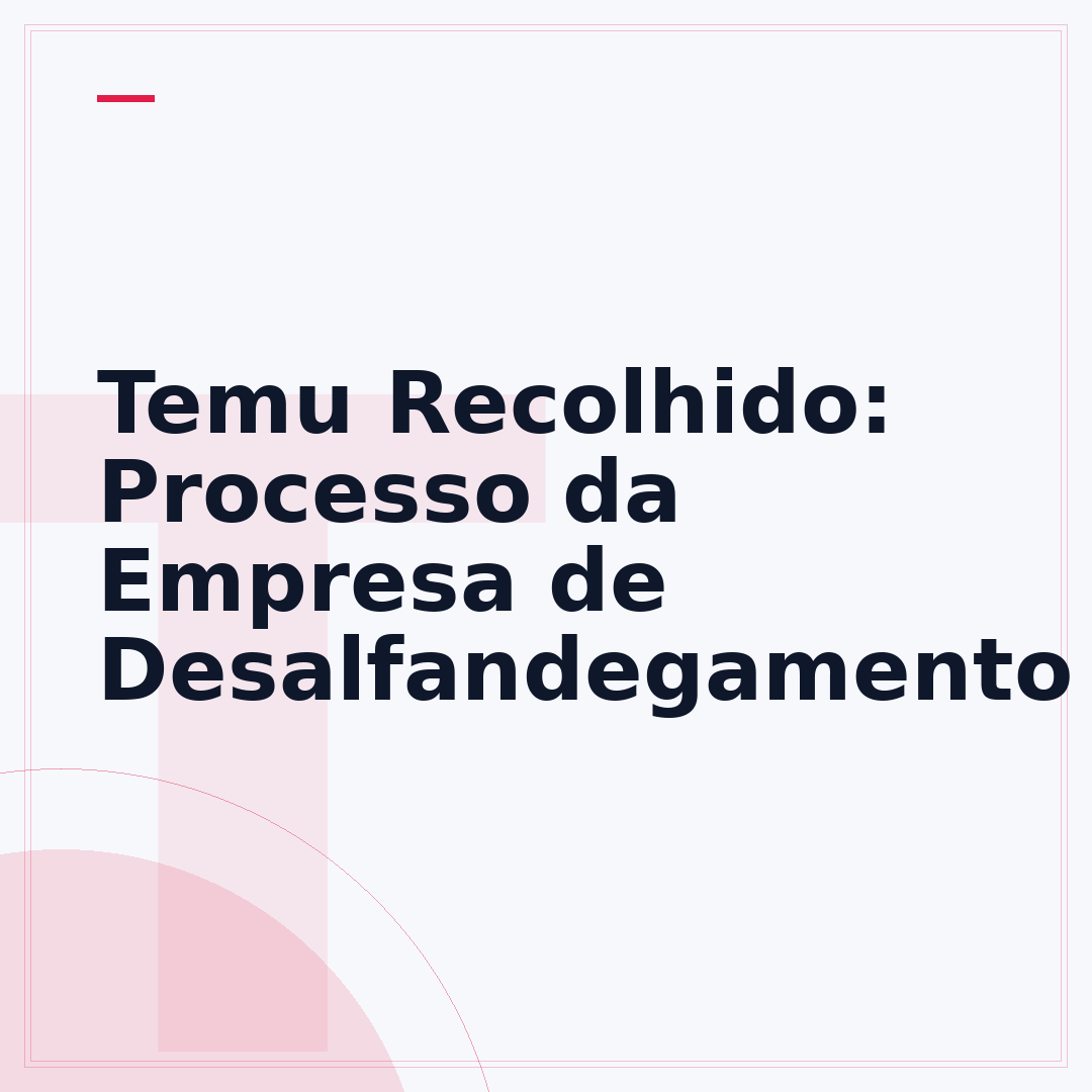 Temu Recolhido: Processo da Empresa de Desalfandegamento
