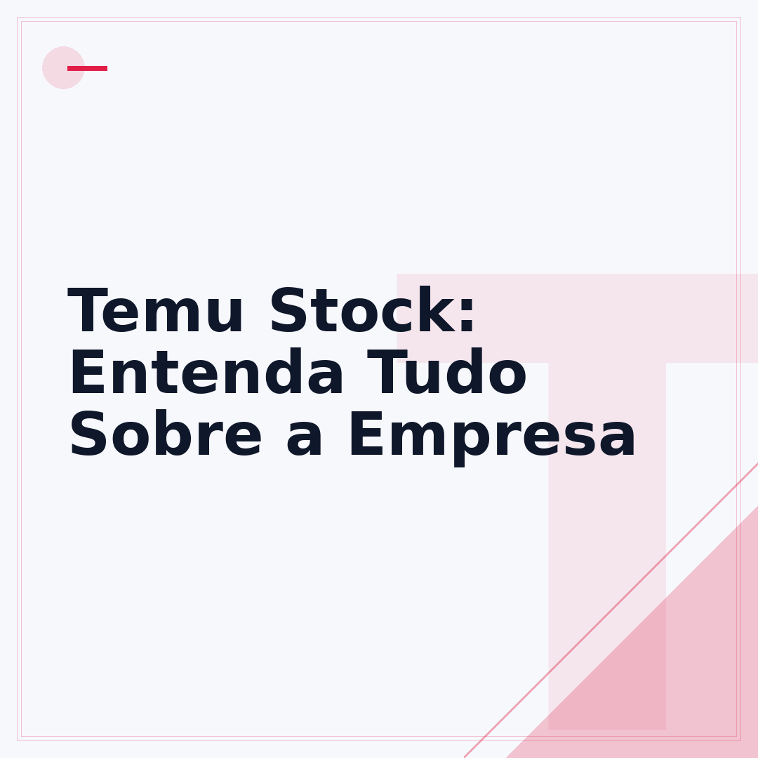 Temu Stock: Entenda Tudo Sobre a Empresa