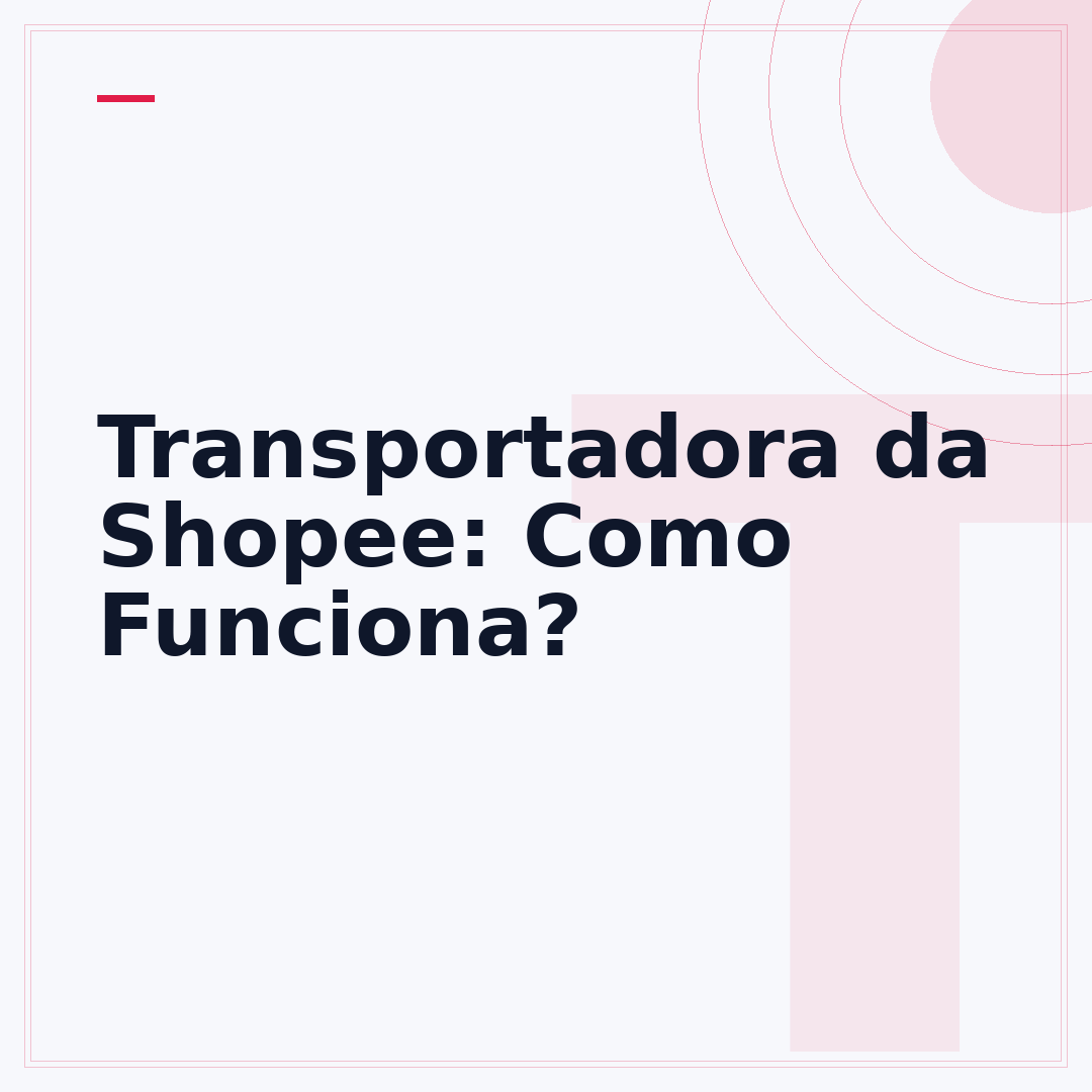 Transportadora da Shopee: Como Funciona?
