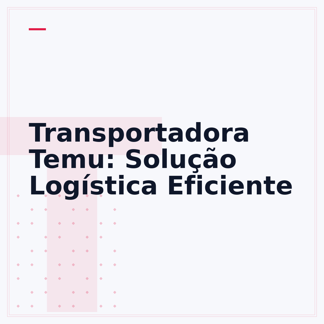 Transportadora Temu: Solução Logística Eficiente
